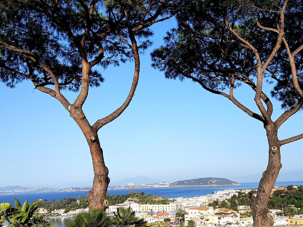 דירות Ischia Dream Visions מראה חיצוני תמונה